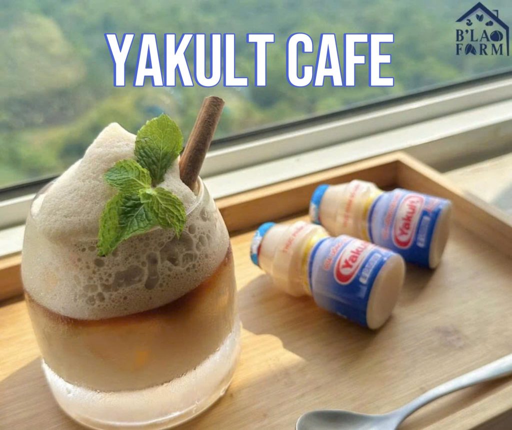 Cà Phê Yakult (Yakult Coffee) – Lạ Miệng, Cực Bánh Cuốn!